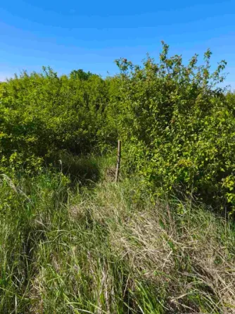 Продаж земельної ділянки Для сільськогосподарської діяльності площа 8 сот Польова Кінчеш