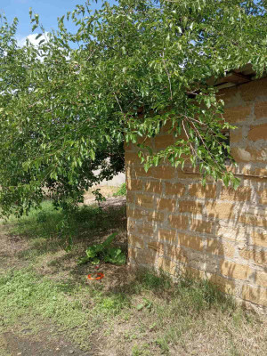 Продаж земельної ділянки 0.1 соток на ул. Королёва, 21а Нерубайське - фото 3