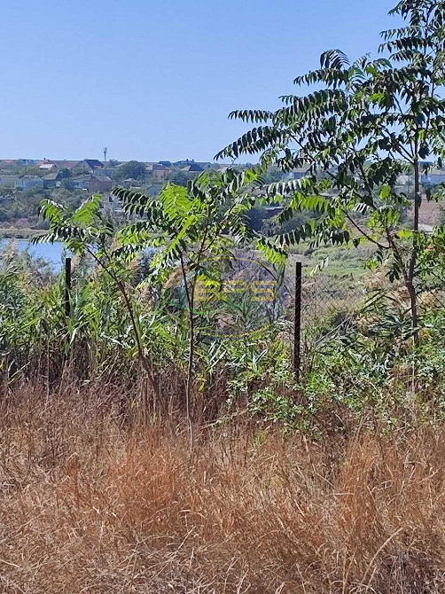 Продаж земельної ділянки 47 соток на вул. Чорноморців Sukhyi Lyman - photo 2