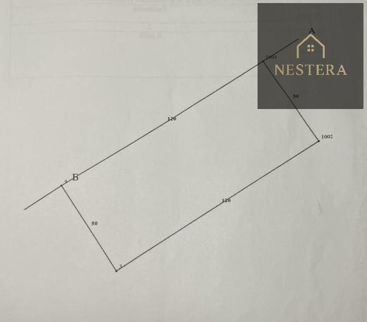 Продаж земельної ділянки 60 соток Кам'яниця - фото 1