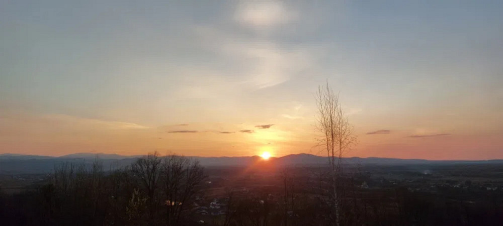 Продаж земельної ділянки 29 соток Жураки - фото 13