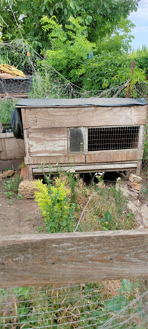 Продается дача на берегу Хаджибейского лимана Бурдівка - фото 19