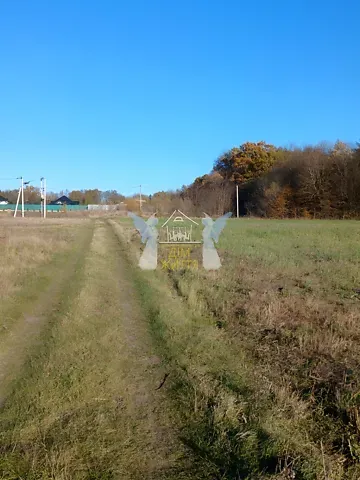 Продажа земельного участка  площадь 16 сот Зелена вулиця 1  - изображение 7