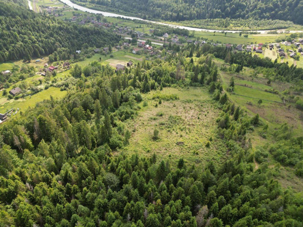 Продаж земельної ділянки 59 соток Hrebeniv - photo 9