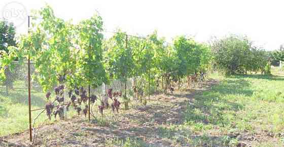 Продаж земельної ділянки 18 соток 