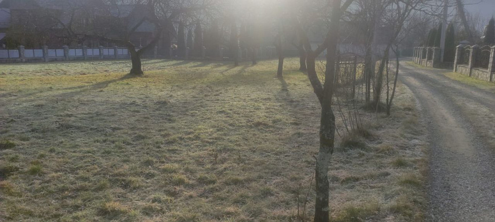 Продаж земельної ділянки 30 соток  - photo 8