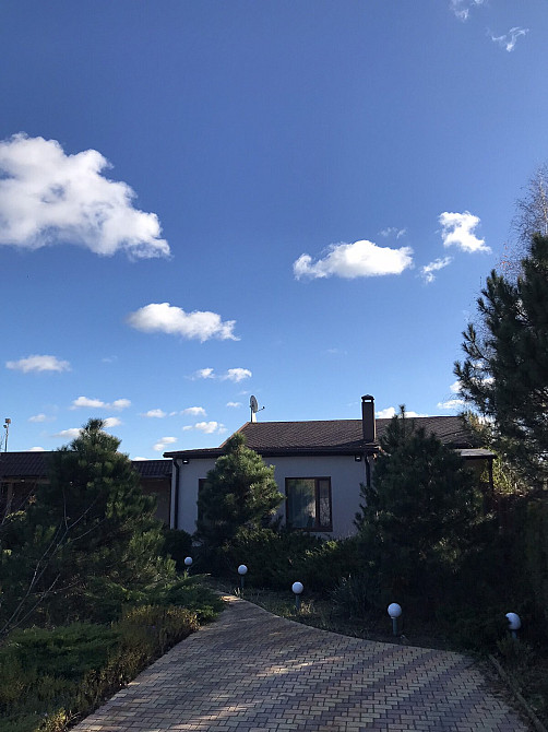 Продаж Будинок Новоселівка (Покровський район) - фото 17