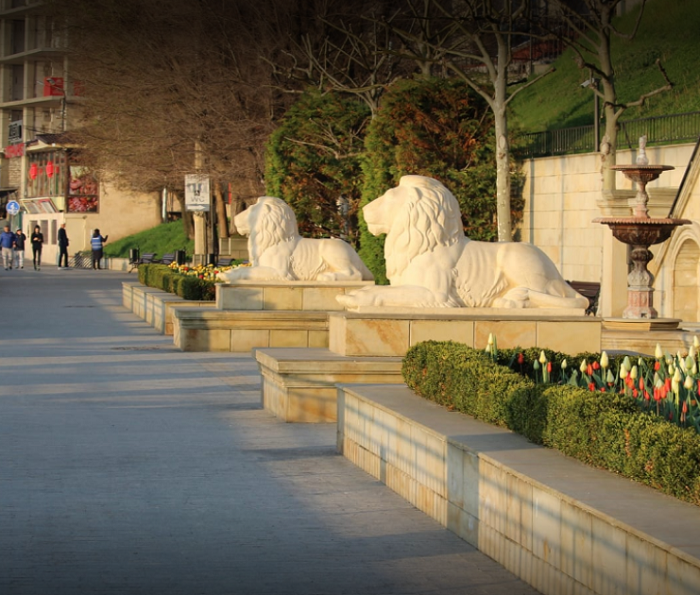 В продаже роскошный таунхаус  возле моря Odessa - photo 2