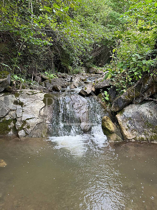 Продаж земельної ділянки 80 соток на Довга Верхній Ясенів - фото 17