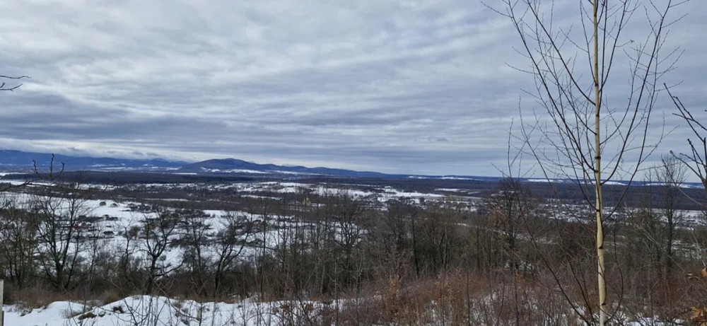 Продаж земельної ділянки 29 соток Жураки - фото 9