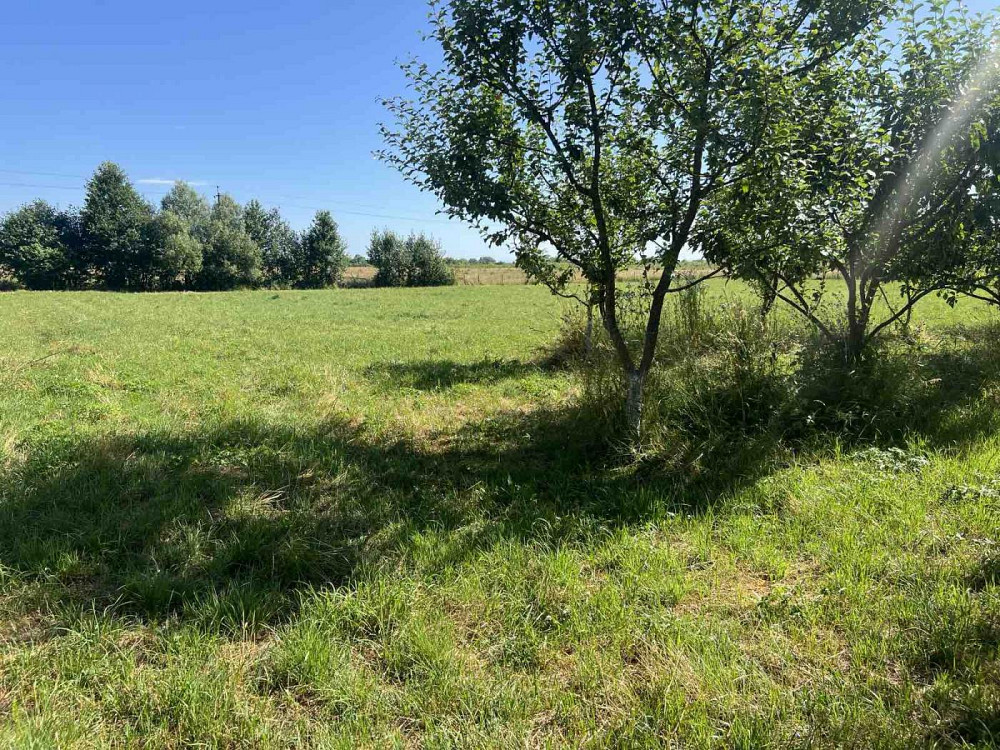 Продаж земельної ділянки 25 соток Туради - фото 3