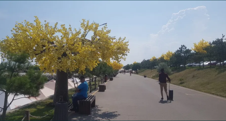 Продам 1-комнатную квартиру в ЖК Авторский район" (Фонтанка) Фонтанка - фото 11