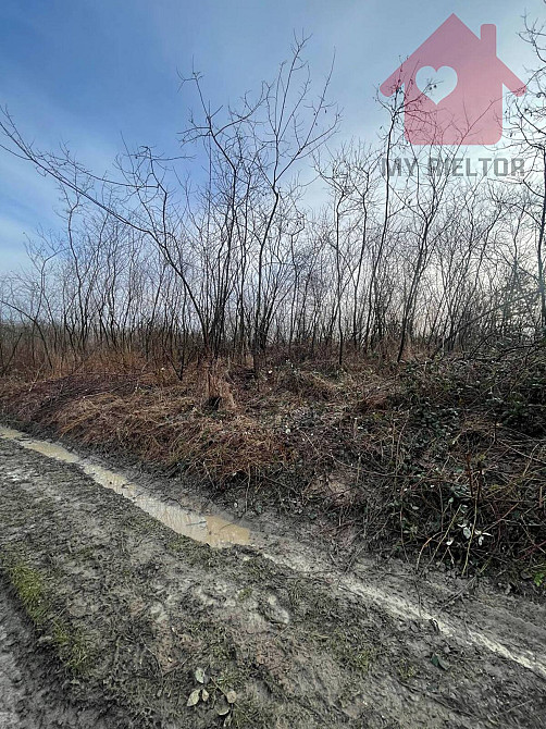Продаж земельної ділянки 8.2 соток  - фото 7