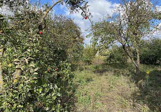 Продаж Будинок 2-кімнатний на вул. Степана Бандери Смиківці