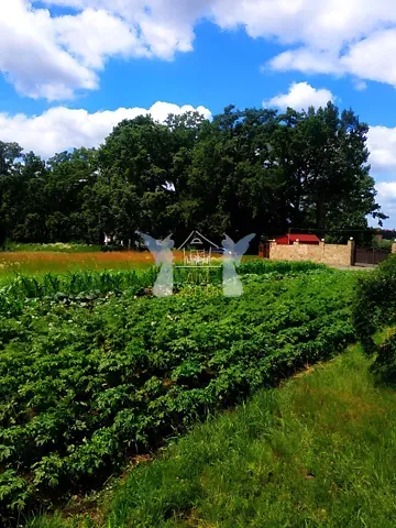 For sale land plot  area 11 ares Лісова вулиця  - photo 9