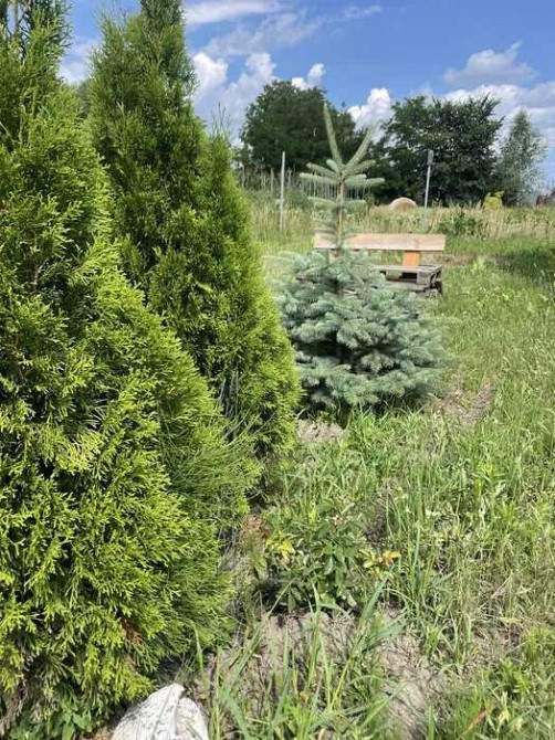 Продаж Будинок на улица Киевская, д.  - изображение 8