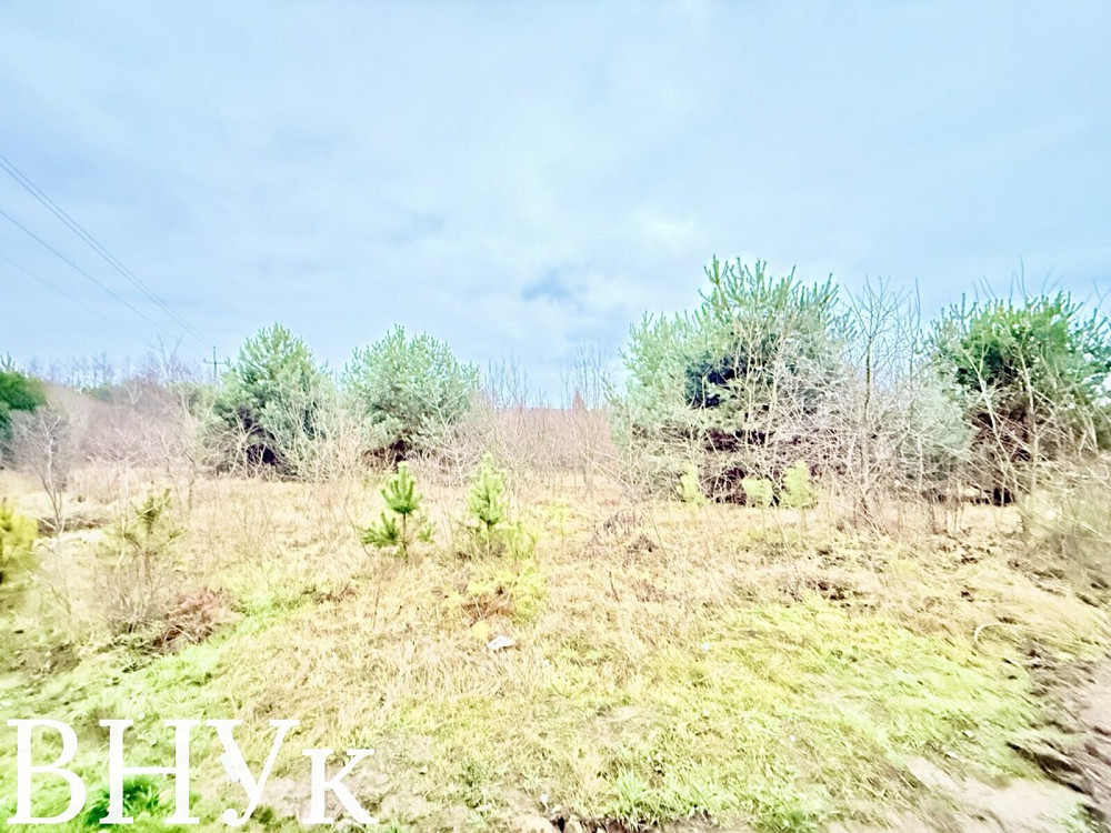 Продаж земельної ділянки 25 соток на Олександріївська Гаразджа - фото 2