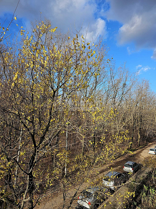 Продаж Квартира 4-кімнатна, 3/9 поверх на вул. Дерев'янка Харків - фото 3