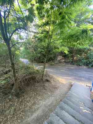 Продаж земельної ділянки 0 соток на ул. Василия Симоненка (ул. Тельмана), 56 Одеса