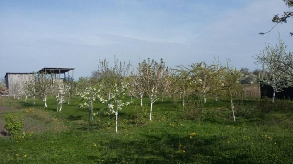 Продаж земельної ділянки 20 соток Головурів - фото 10