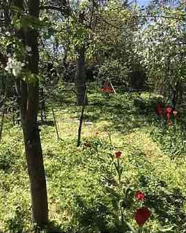 Продаж земельної ділянки 0 соток на ул. Фонтанская дорога, 76/45 Odessa