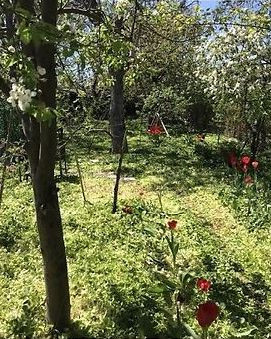 Продаж земельної ділянки 0 соток на ул. Фонтанская дорога, 76/45 Одеса - фото 2