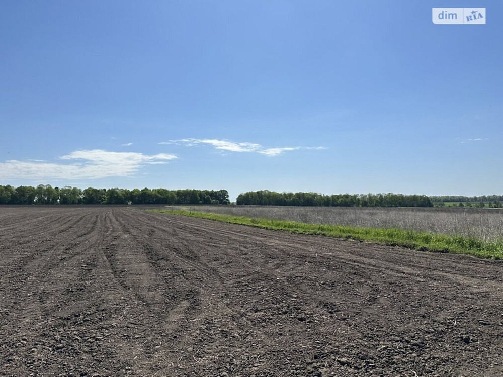 Продаж земельної ділянки 1.4 га Vinnytsya - photo 4