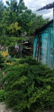 Дом в центре Слободки. Одесса - изображение 2