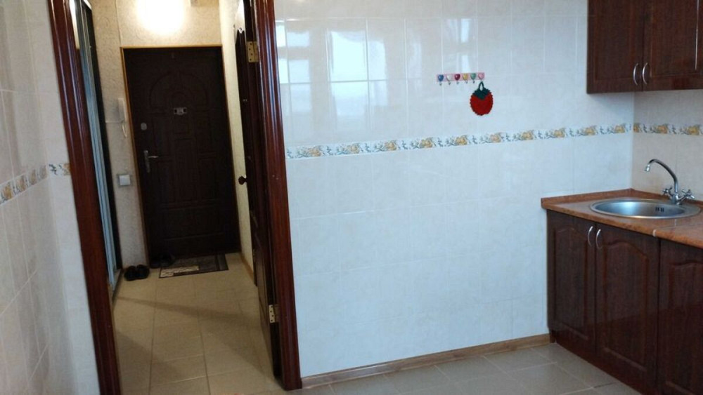 Оренда Квартира 1-кімнатна, 23/24 поверх на Олега Мудрака, 66 Київ - фото 4