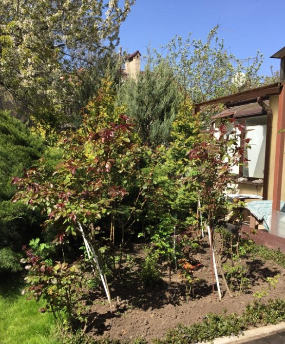 Дом на Фонтанскорй дороге с видом на море Одеса - фото 8