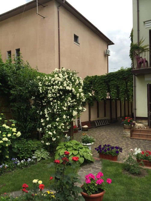 Продаж комерційне приміщення на переулок Леваневского, 28 приміщень - 4, поверх - 3 Одеса - фото 6