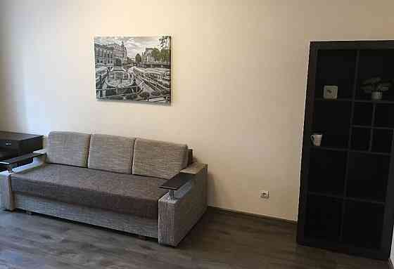 Оренда Квартира 1-кімнатна, 1/23 поверх на вул. Петра Калнишевського, 8 Киев