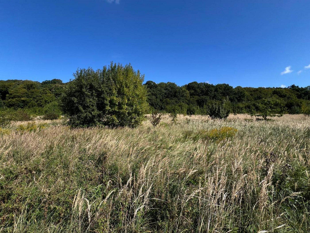 Продаж земельної ділянки 72 соток на вул. Дубовий гай 2 Підберізці - фото 6