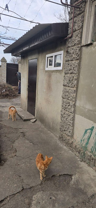 Дом на Слободке с двумя входами. Одеса - фото 9