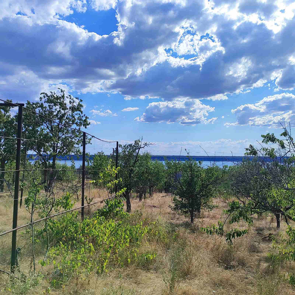 Продам летний домик в СТ "Межлиманье"( Рядом "Лавандия") Протопопівка - фото 9