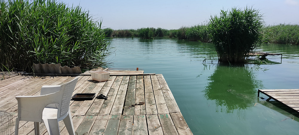 Дом на берегу лимана Nerubaiske - photo 2