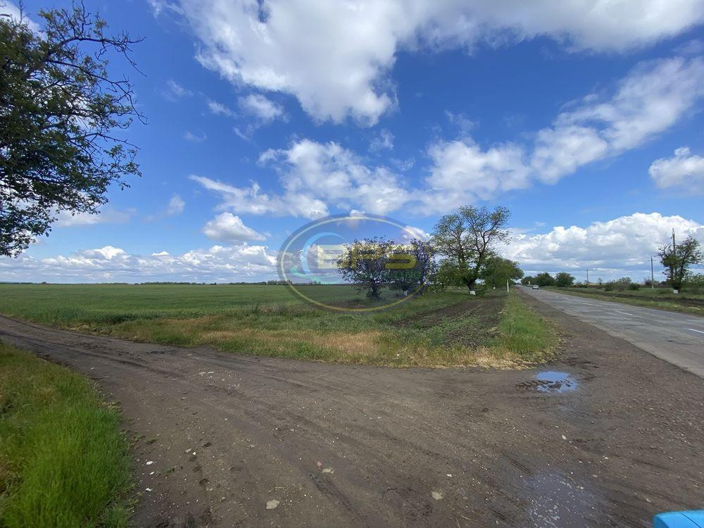 Продаж земельної ділянки 1.83 соток Новотроїцьке (Любашівський район) - фото 4