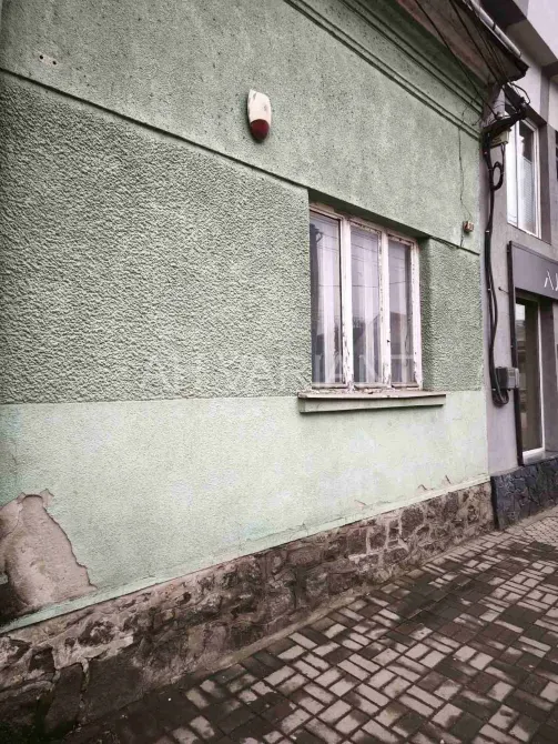 Продаж 1-поверховий Будинок з ділянкою 1.17 сот 100 кв.м 3 кімн. на Швабська Ужгород - фото 4