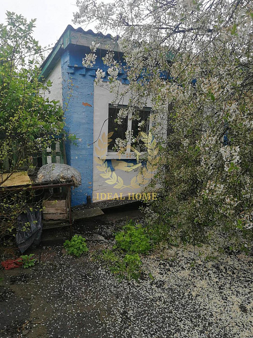 Продаж 1 поверхового будинку с. Устимівка Ustymivka - photo 6