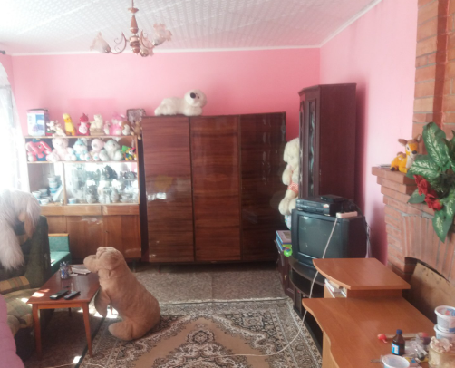 Дом в Кристиновке Yehorivka - photo 9