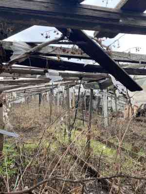 Продаж земельної ділянки 8 соток на ул. Николая Огренича, 6 Одесса