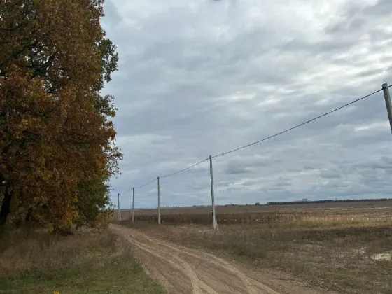 Продажа земельного участка Для строительства частного жилого дома площадь 50.8 сот Солов'їна Билогородка