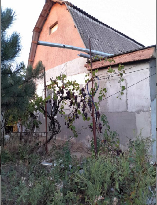 СРОЧНО!!! Продам дом зимнего типа на берегу лимана (Новодофиновские дачи) Нова Дофінівка - фото 7