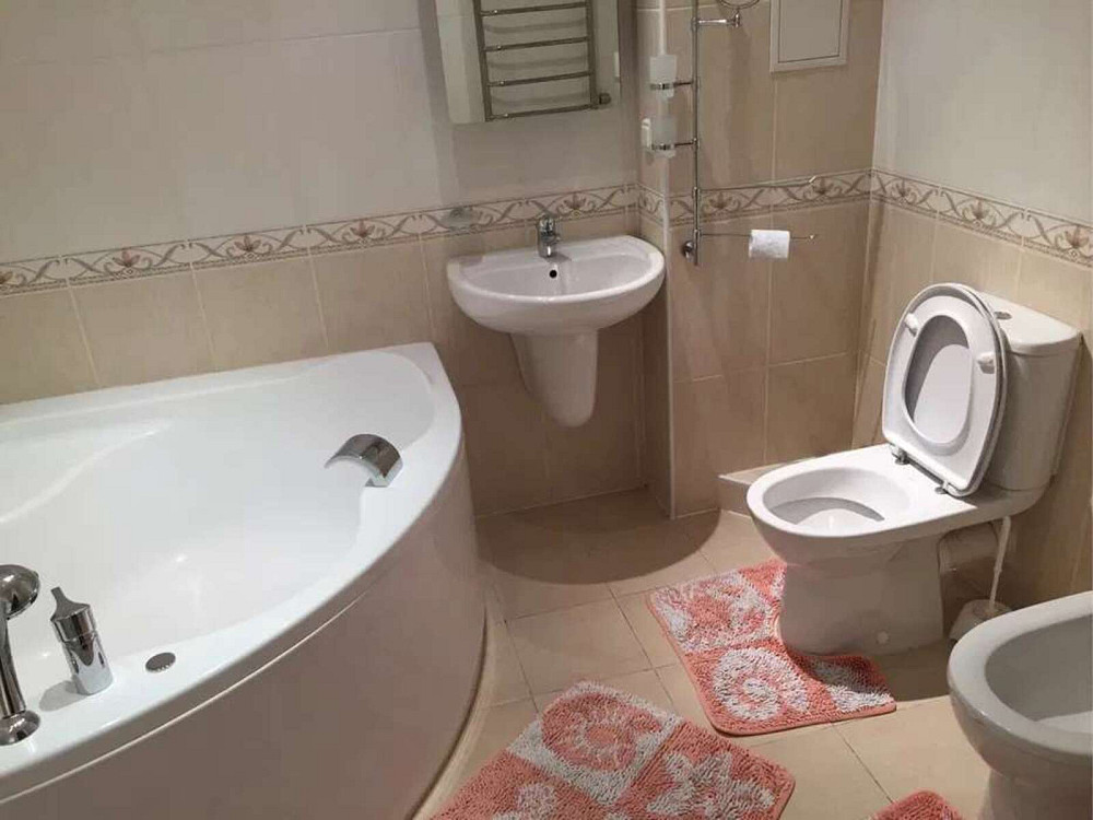 Оренда Квартира 1-кімнатна, 12/16 поверх на пр. Петра Григоренко Київ - фото 4