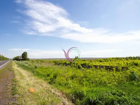 Продаж земельної ділянки  площа 6600 сот   - фото 4