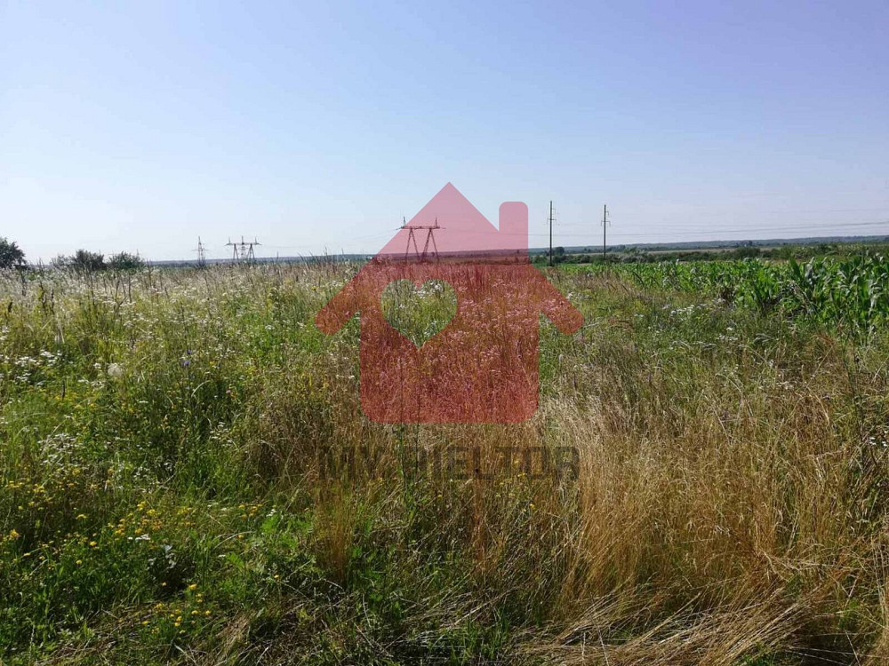 Продаж земельної ділянки 70 соток на Головна  - photo 1