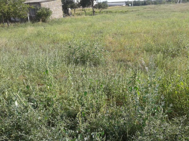 Продаж земельної ділянки 0.1 соток на Глория, 5455 Нерубайське - фото 4