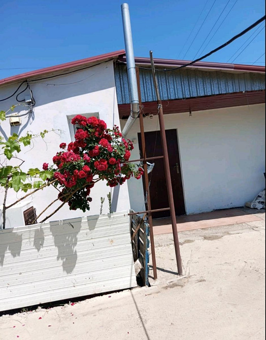 Продається невеликий доглянутий будинок в с. Усатово  - фото 1