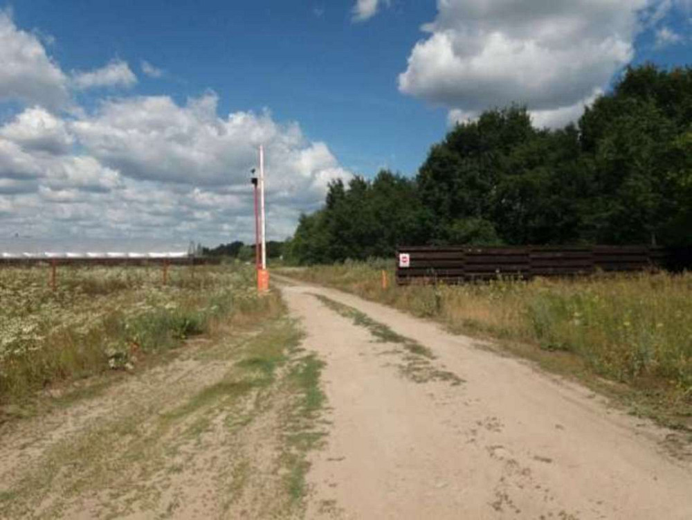 Продаж земельної ділянки 25 соток Проців - фото 1