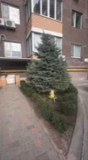 Продаж Квартира 1-кімнатна на ул. Софиевская, 2а Крижанівка (Ширяївський район) - фото 9